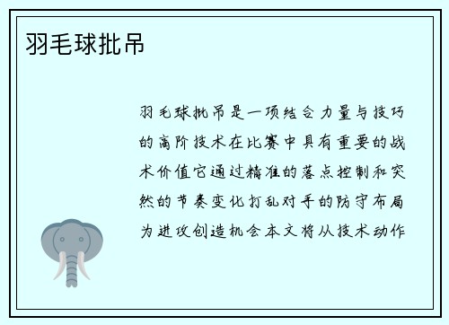 羽毛球批吊